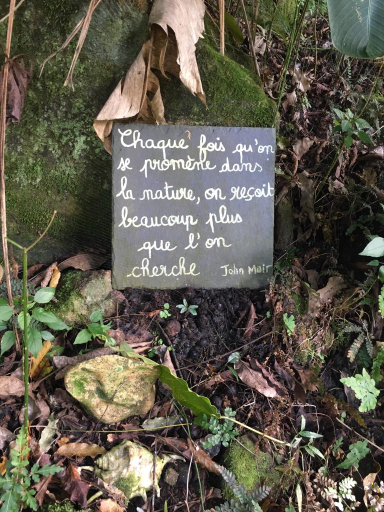 bombes-de-graines-6