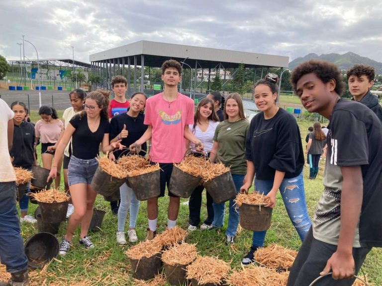 plantation-foret-seche-1