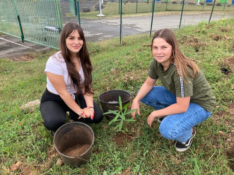 plantation-foret-seche-4