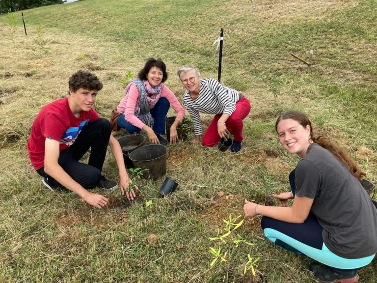 plantation-foret-seche-6