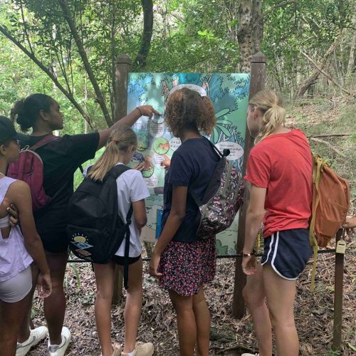 visite-foret-seche-4